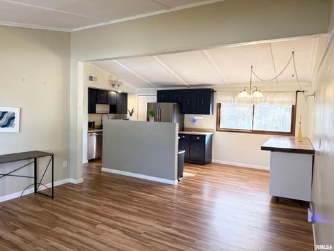 Tiny photo for 606 W KENNEDY Drive, Desoto, IL 62966 (MLS # QC4269238)