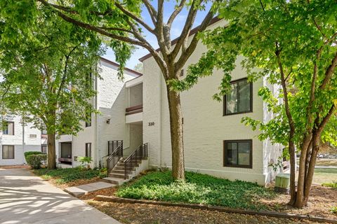 330 W Miner Street 1B Arlington Heights IL 60005