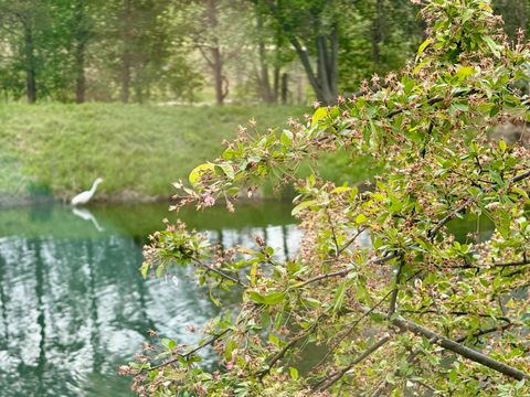 Tiny photo for 897 Longmeadow Court #1044, Lake Barrington, IL 60010 (MLS # 12630420)