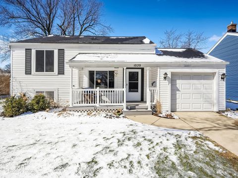 Photo of 1020 Newberry Avenue, La Grange Park, IL 60526 (MLS # 12573552)