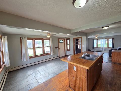 Tiny photo for 229 S Mason Street, Amboy, IL 61310 (MLS # 12624366)