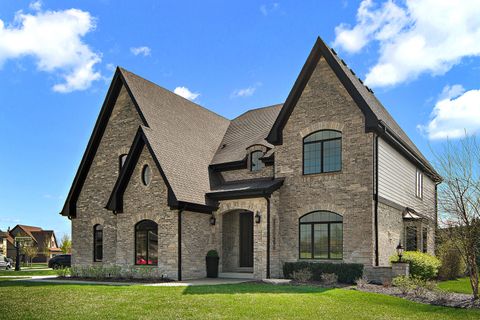 Tiny photo for 11529 Torino Way, Frankfort, IL 60423 (MLS # 12596772)