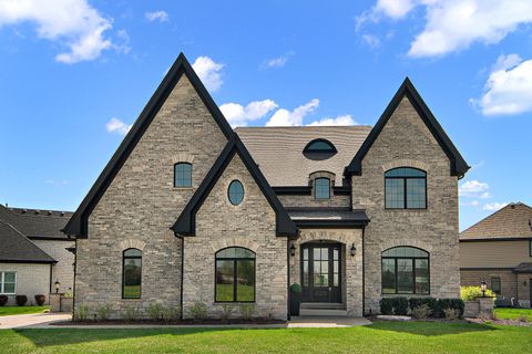 Tiny photo for 11529 Torino Way, Frankfort, IL 60423 (MLS # 12596772)