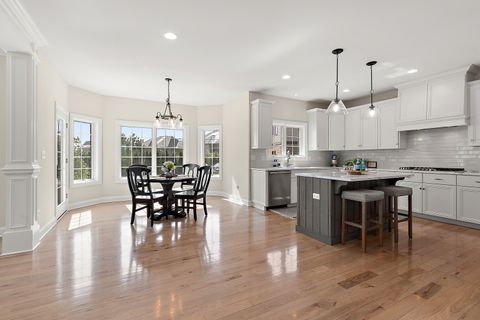 Tiny photo for 11529 Torino Way, Frankfort, IL 60423 (MLS # 12596772)