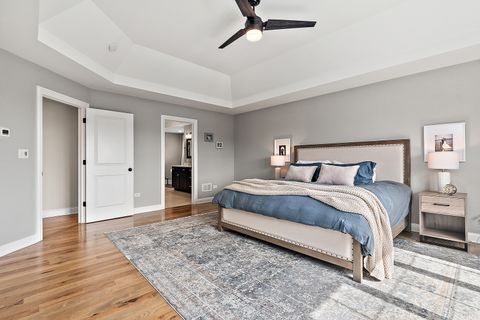 Tiny photo for 11529 Torino Way, Frankfort, IL 60423 (MLS # 12596772)