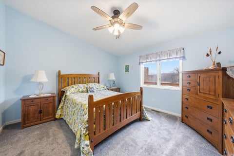 Tiny photo for 54 Village Woods Drive, Crete, IL 60417 (MLS # 12565400)