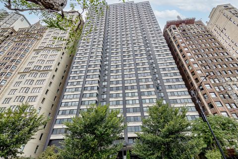 1440 N Lake Shore Drive 22ABCD Chicago IL 60610
