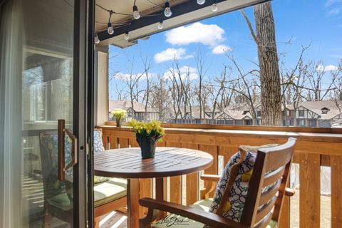 Tiny photo for 8137 Chestnut Drive #C, Palos Hills, IL 60465 (MLS # 12603599)