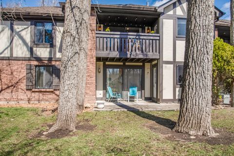 Tiny photo for 8137 Chestnut Drive #C, Palos Hills, IL 60465 (MLS # 12603599)