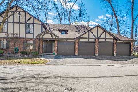 Photo of 8137 Chestnut Drive #C, Palos Hills, IL 60465 (MLS # 12603599)