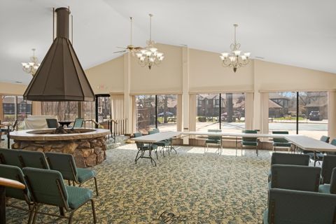 Tiny photo for 8137 Chestnut Drive #C, Palos Hills, IL 60465 (MLS # 12603599)