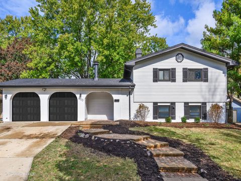 A home in Hoffman Estates