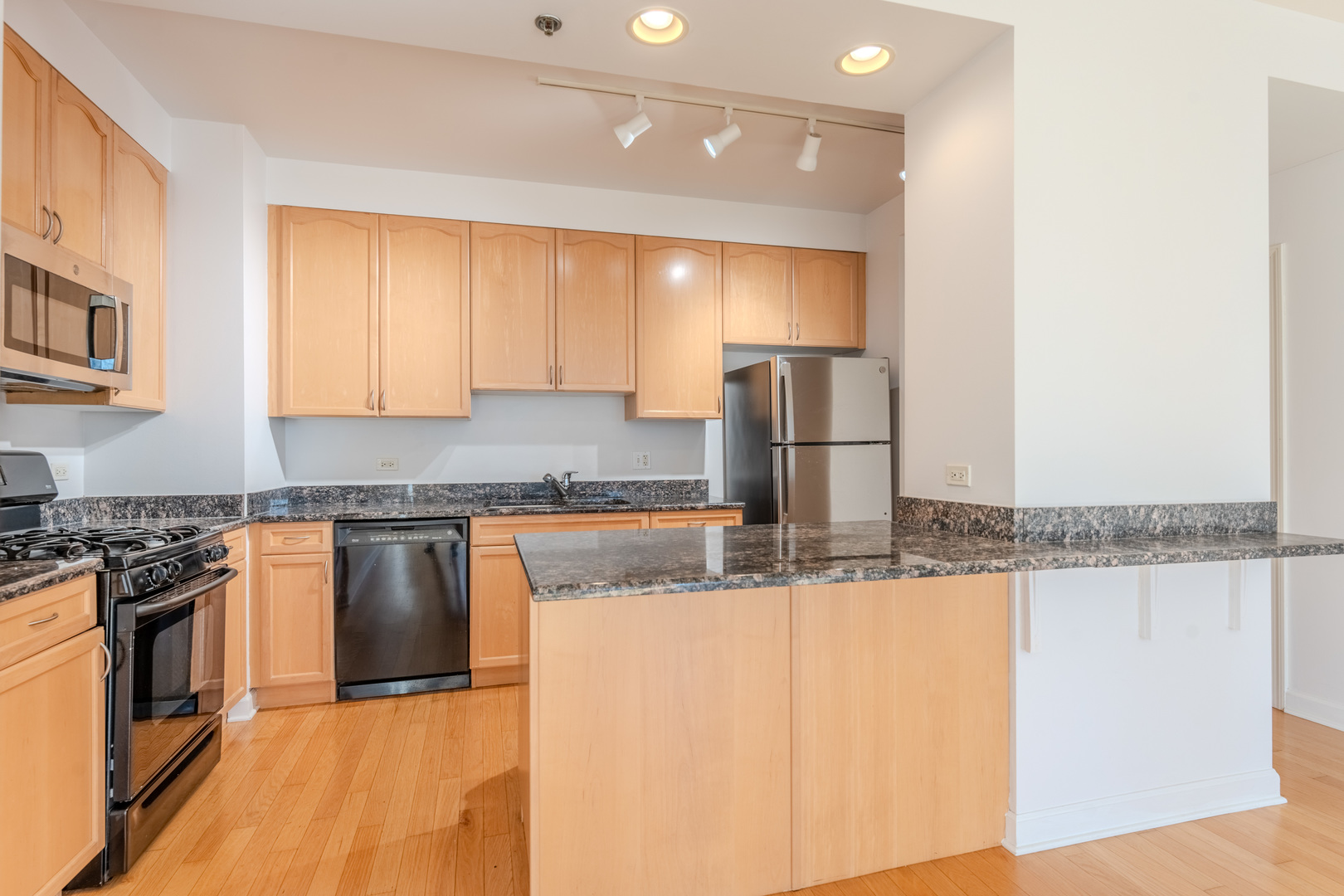 1250 S Michigan Avenue 2104