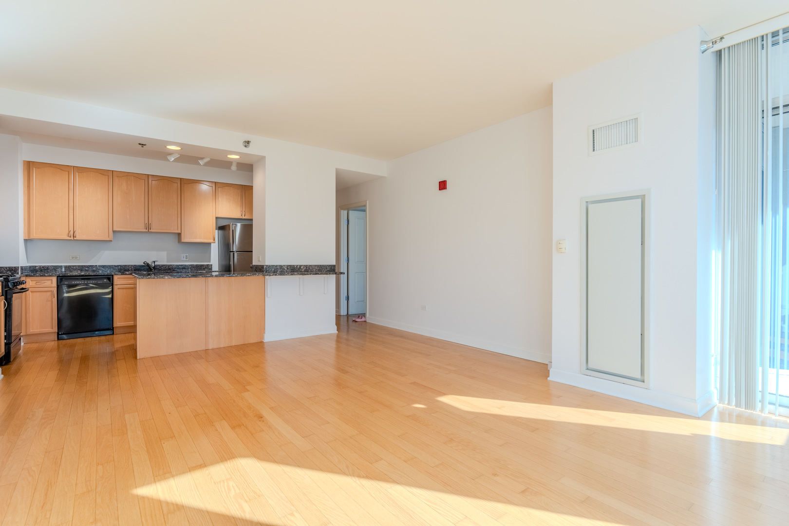 1250 S Michigan Avenue 2104