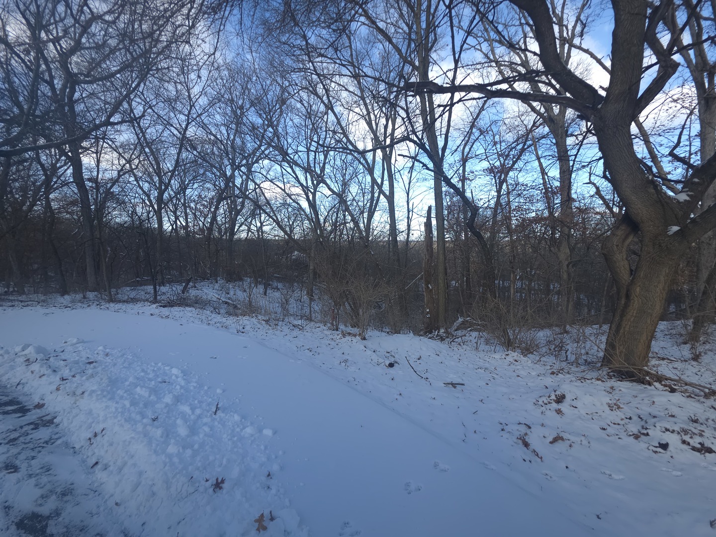 110 W Fork Road