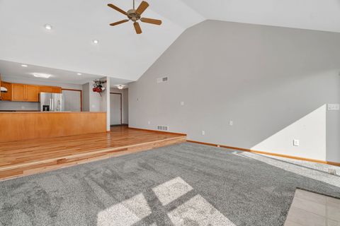 Tiny photo for 210 Kevin Drive, Diamond, IL 60416 (MLS # 12497085)