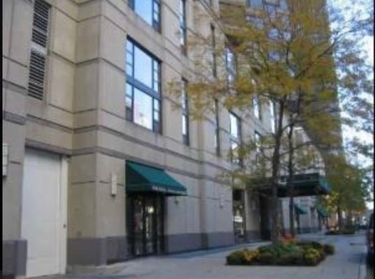 401 E ONTARIO ST APT 3110, CHICAGO, IL 60611 - Image 365a1410022c29f78aad4df2e225b8ea/2914856167