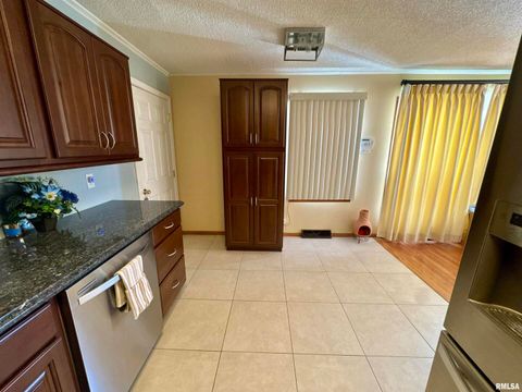 Tiny photo for 305 RAILROAD Street, Tamms, IL 62988 (MLS # EB460721)