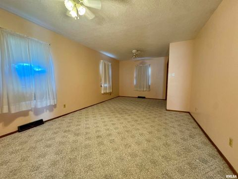 Tiny photo for 305 RAILROAD Street, Tamms, IL 62988 (MLS # EB460721)