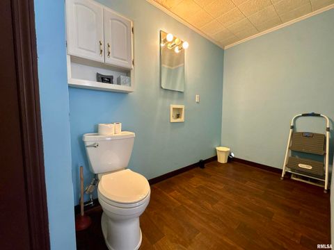 Tiny photo for 305 RAILROAD Street, Tamms, IL 62988 (MLS # EB460721)