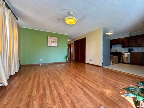 Tiny photo for 305 RAILROAD Street, Tamms, IL 62988 (MLS # EB460721)