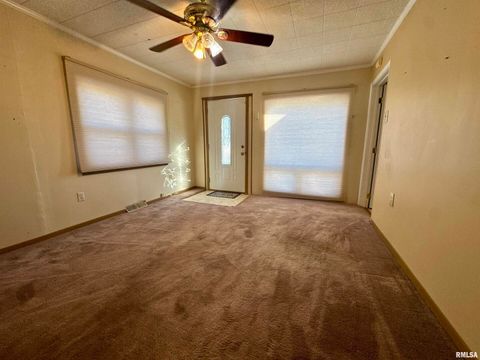 Tiny photo for 305 RAILROAD Street, Tamms, IL 62988 (MLS # EB460721)