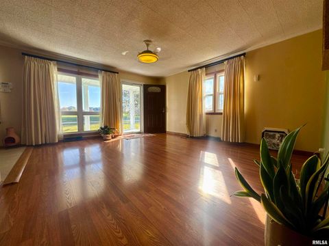 Tiny photo for 305 RAILROAD Street, Tamms, IL 62988 (MLS # EB460721)