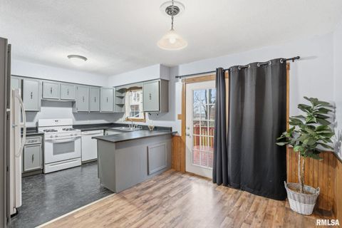 Tiny photo for 338 BENTON Street, Le Claire, IA 52753 (MLS # 12589748)