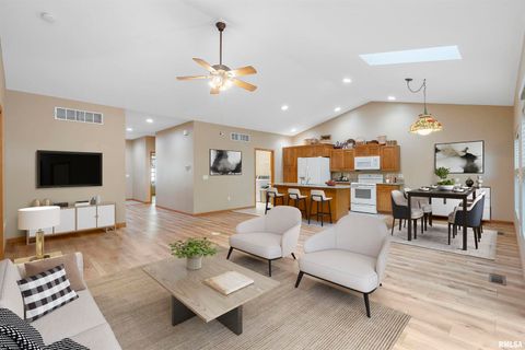 Tiny photo for 1101 2nd Street, Moline, IL 61265 (MLS # QC4268543)