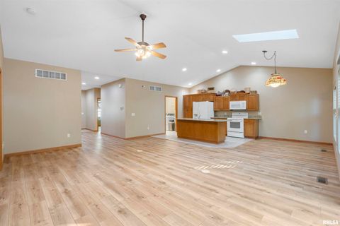 Tiny photo for 1101 2nd Street, Moline, IL 61265 (MLS # QC4268543)