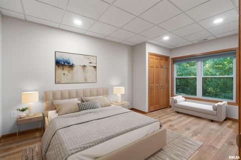 Tiny photo for 1101 2ND Street, Moline, IL 61265 (MLS # QC4268543)