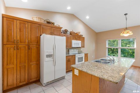 Tiny photo for 1101 2ND Street, Moline, IL 61265 (MLS # QC4268543)