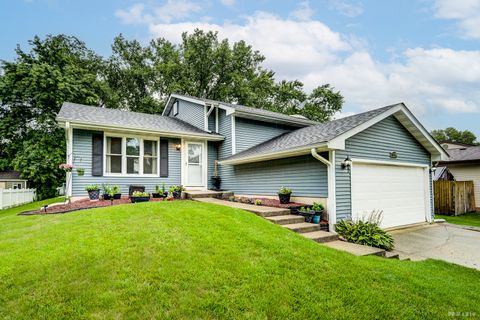 Photo of 13734 W Birchwood Drive, Homer Glen, IL 60491 (MLS # 12503794)