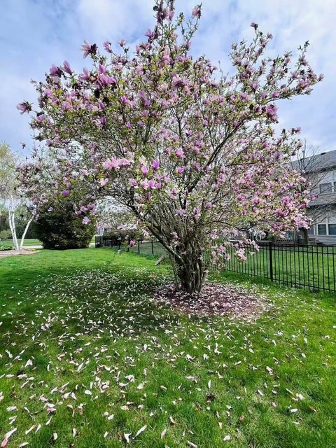 Tiny photo for 1703 Deer Run Drive, Mahomet, IL 61853 (MLS # 12716423)