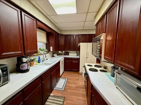 Tiny photo for 203 S First Street, Fisher, IL 61843 (MLS # 12574782)