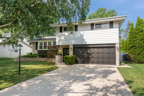 1008 N Newberry Lane Mount Prospect IL 60056