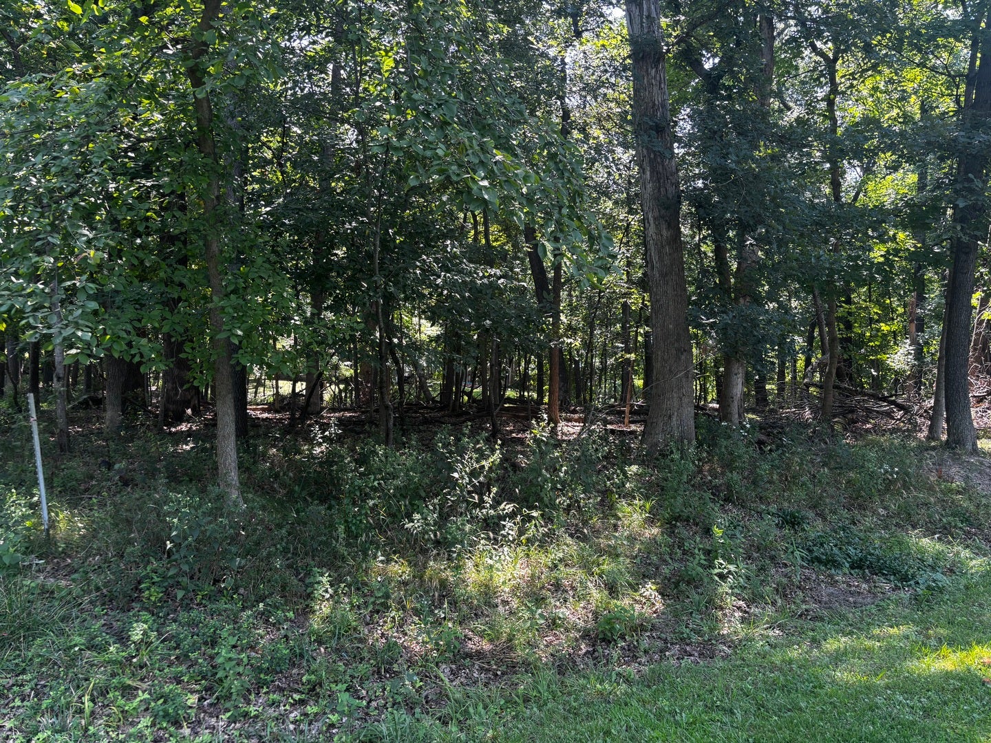 1134 Loganberry Lane