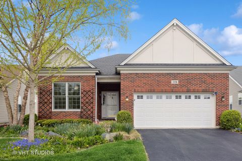 1178 Drury Lane Aurora IL 60502