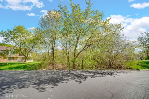 6421 Collier Circle Long Grove IL 60047