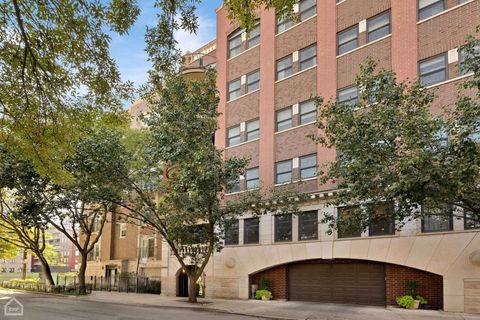 1426 N Orleans Street 203 Chicago IL 60610