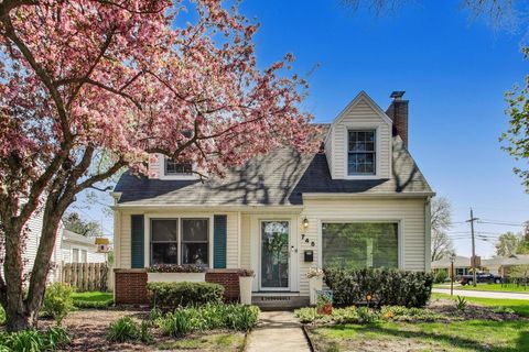 745 S CHESTNUT Avenue Arlington Heights IL 60005