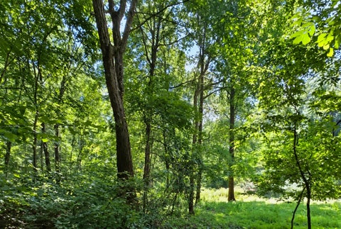 Tiny photo for 1713 Lindle Avenue, Muscatine, IA 52761 (MLS # 12684240)