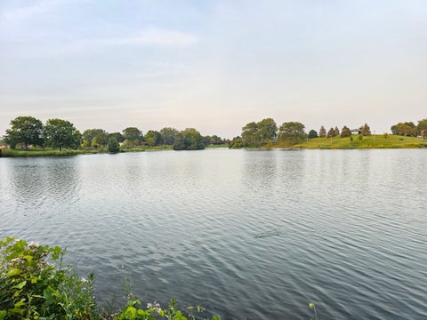 Tiny photo for 11 Crestview Lane #10, Vernon Hills, IL 60061 (MLS # 12710903)