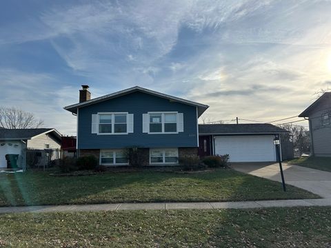 6233 El Morro Lane Oak Forest IL 60452