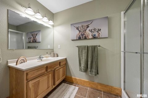 Tiny photo for 211 SUMMIT Drive, Tipton, IA 52772 (MLS # QC4266817)