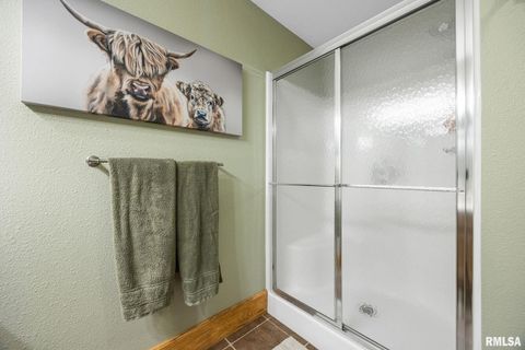 Tiny photo for 211 SUMMIT Drive, Tipton, IA 52772 (MLS # QC4266817)