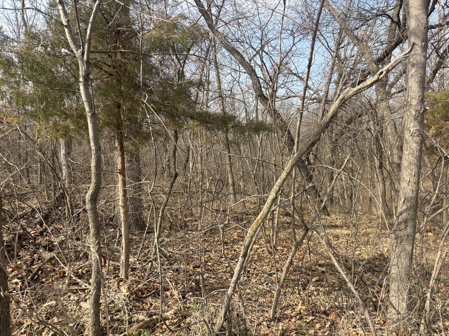 1038 Hidden Valley Drive