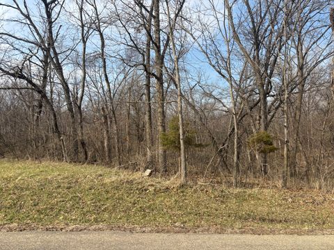 1038 Hidden Valley Drive Varna IL 61375