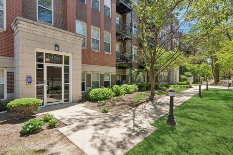 1255 N Orleans Street 1103 Chicago IL 60610