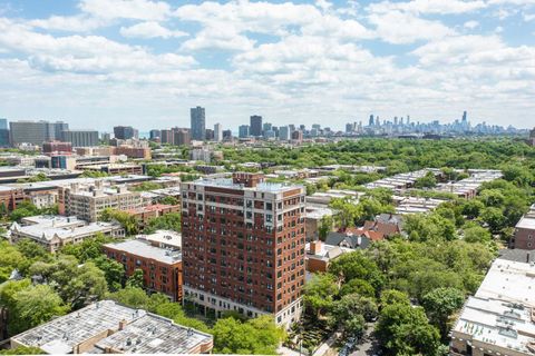 1325 W Wilson Avenue 1003 Chicago IL 60640